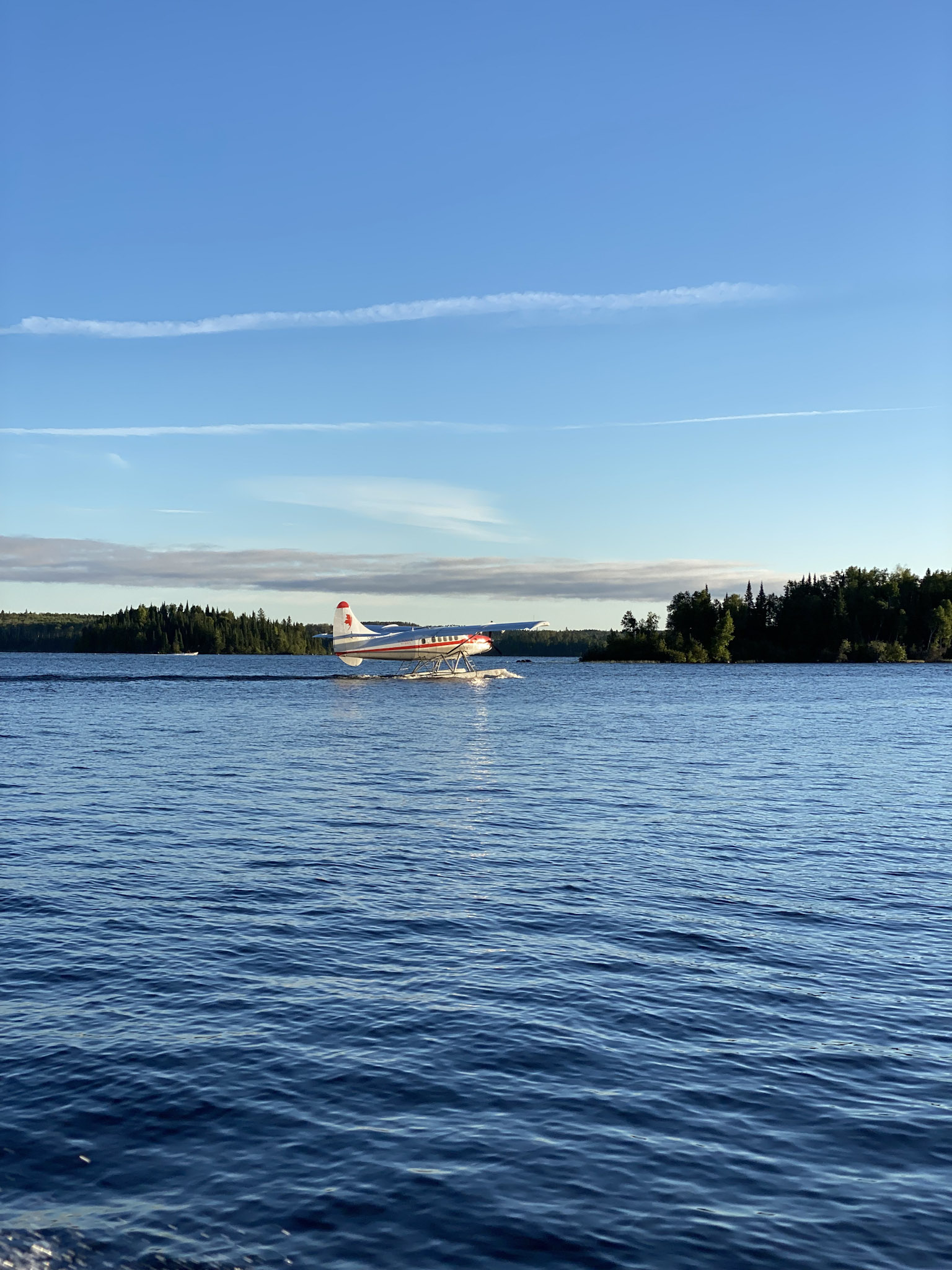 a red and white float plane landing on an expanse of very blue, shining water under a very blue sky. A band of distant forest can be seen on the horizon.