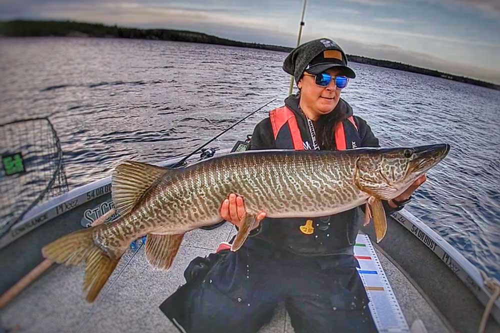 tiger musky sunset country