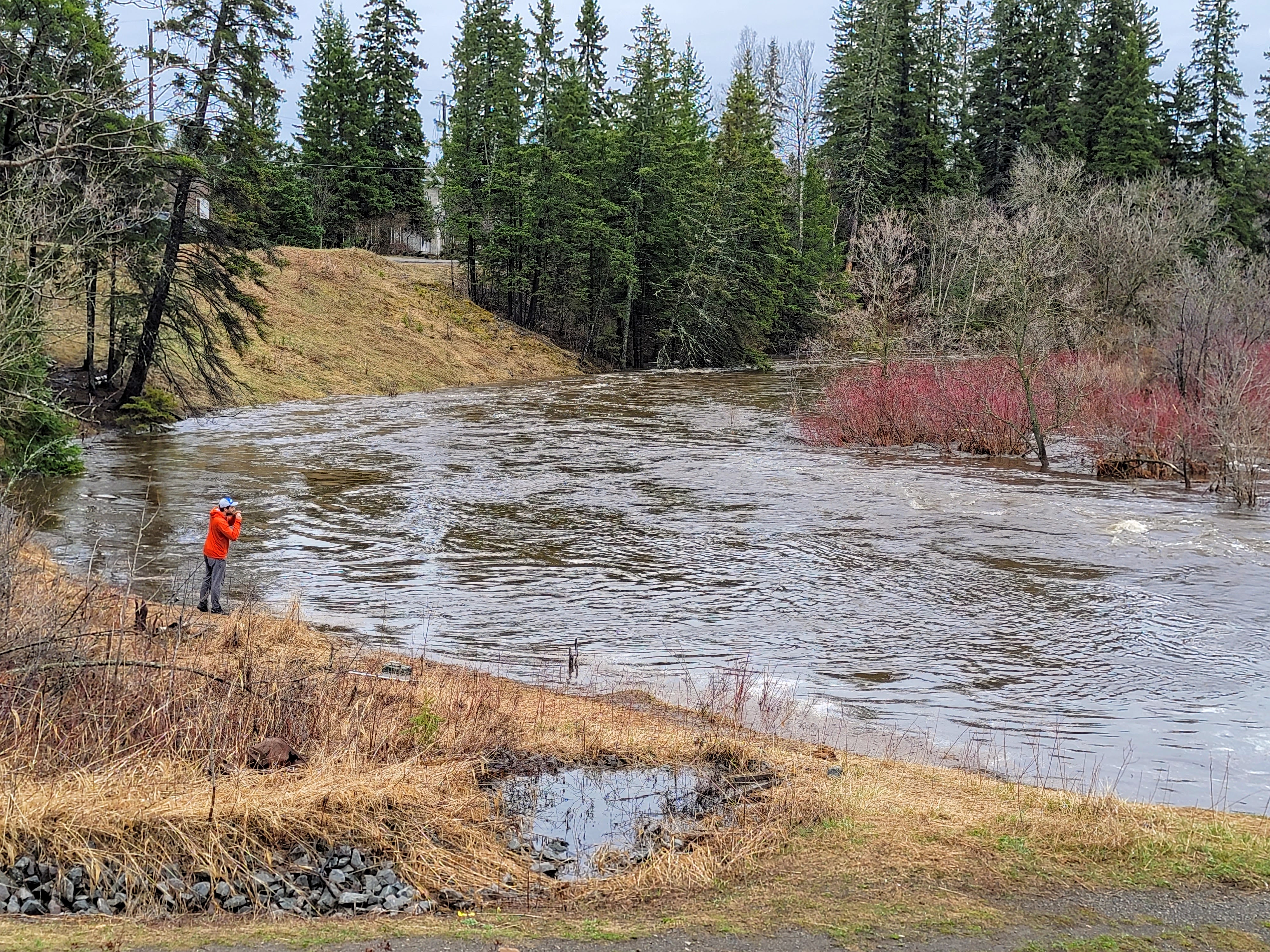 A person fishing on the banks of the McIntyre River, its water extra high with runoff and running fast.  