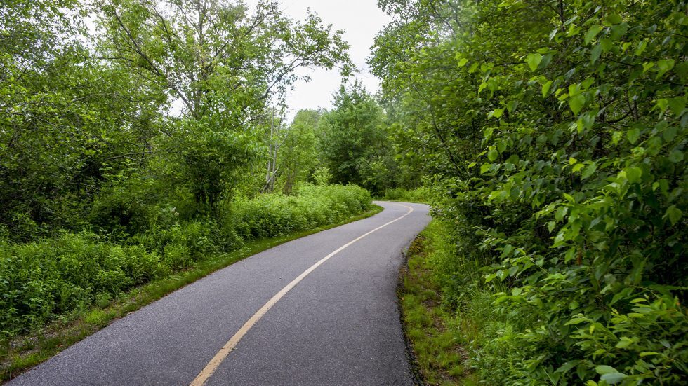 Kate Pace Way; a two-lane paved bike trail cutting through lush green forest on both sides. 
