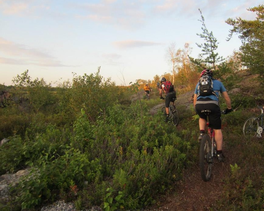 bikers peddle up a small hill on a trail surrounded by green shrubbery at sunset. 