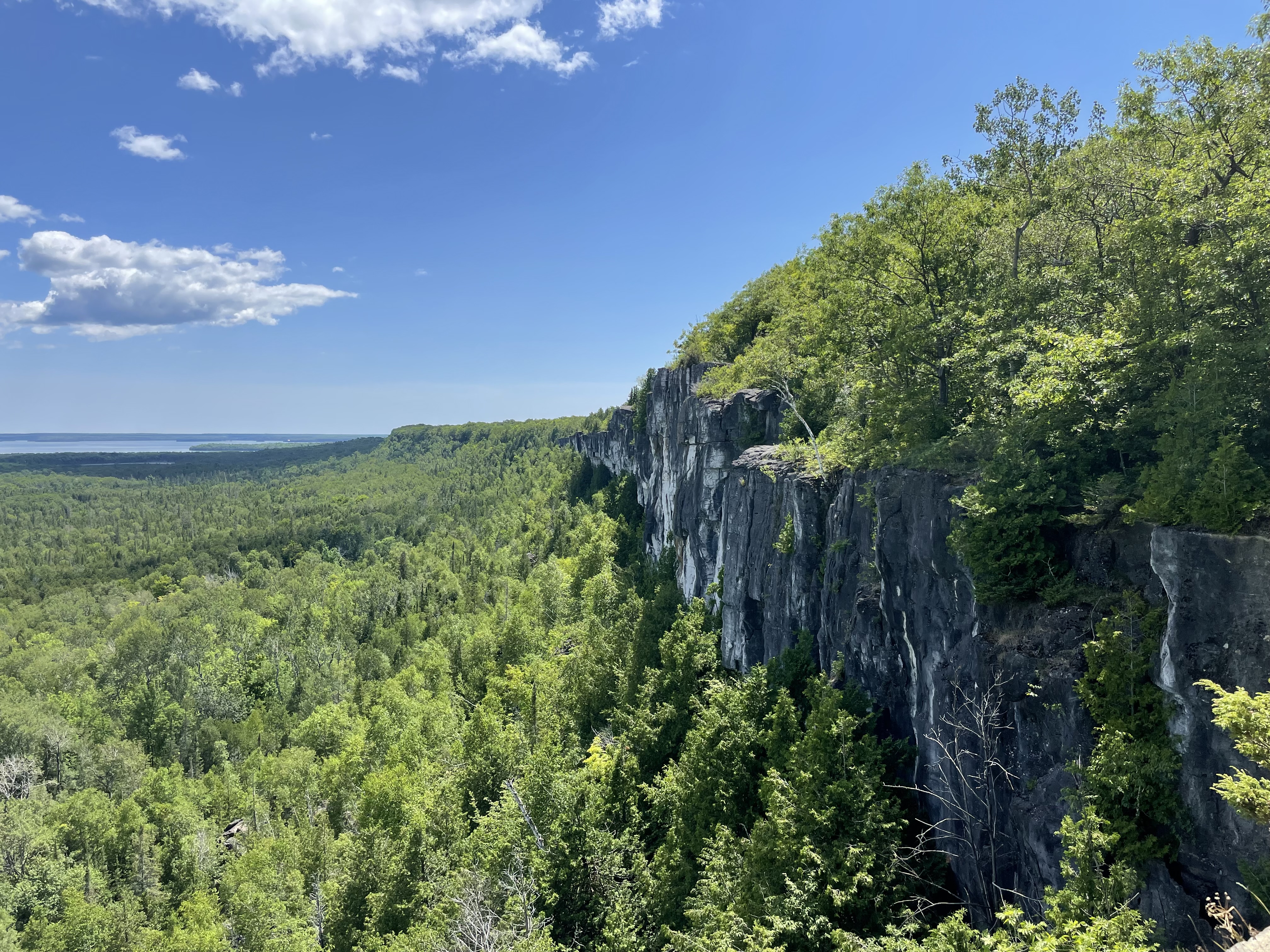Cup and Saucer Trail; a view of a steep cliff face covered in lush green forest, dropping down into a broad green forested valley below, under a brilliant blue sky. 