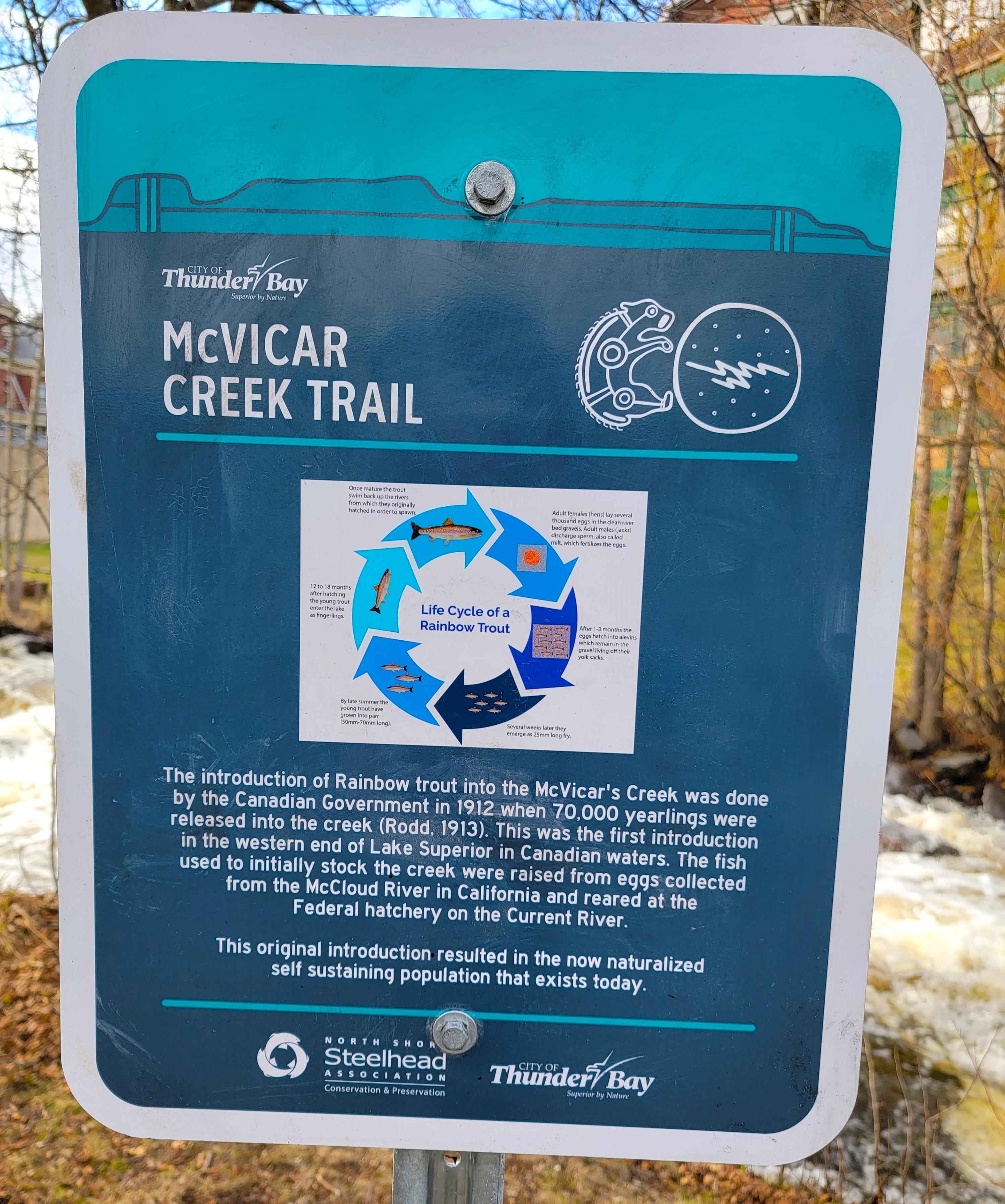 A blue and white sign in a forest that reads "McVicar Creek Trail" and describes the introduction of Rainbow trout into the McVicar's Creek by the Canadian Government in 1912.