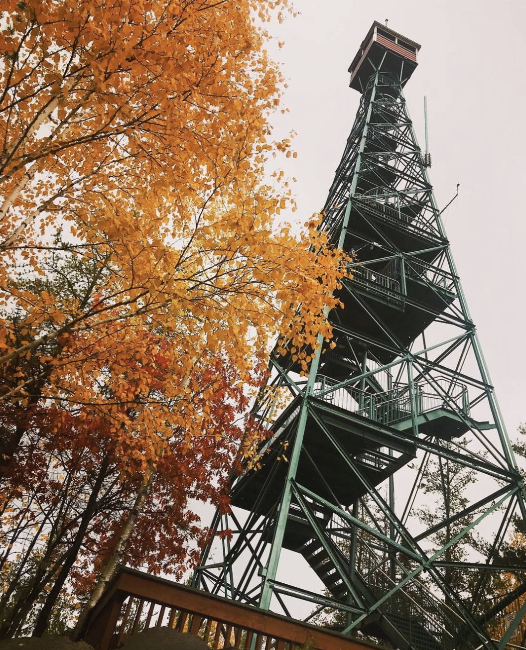 The Temagami Fire Tower; a tall metal lookout tower next to bright orange autumn trees against a cloudy sky.