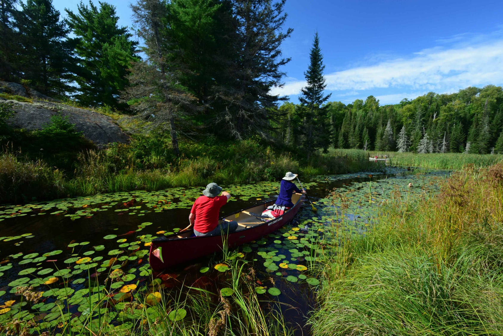 Two people in a canoe paddle along a creek filled with lilypads, surrounded by lush green forest under a blue sky.