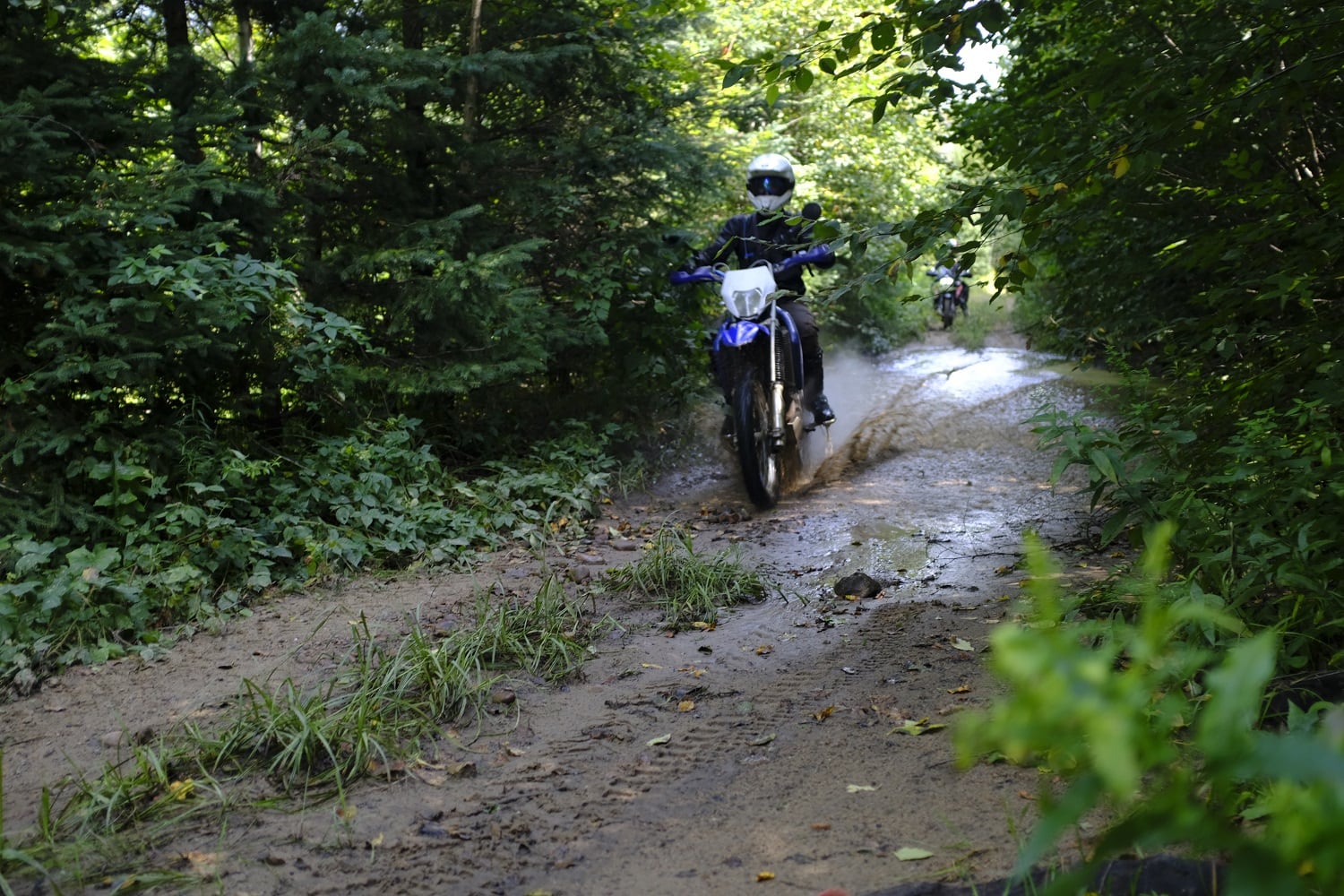 An ADV on a dirt trail in a forest.
