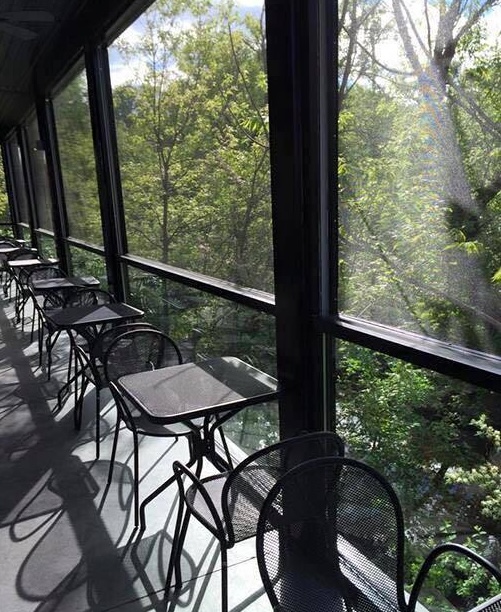 the screened-in patio at Arugula; a line of black iron tables and chairs along a screened corridor overlooking lush green forest all around.