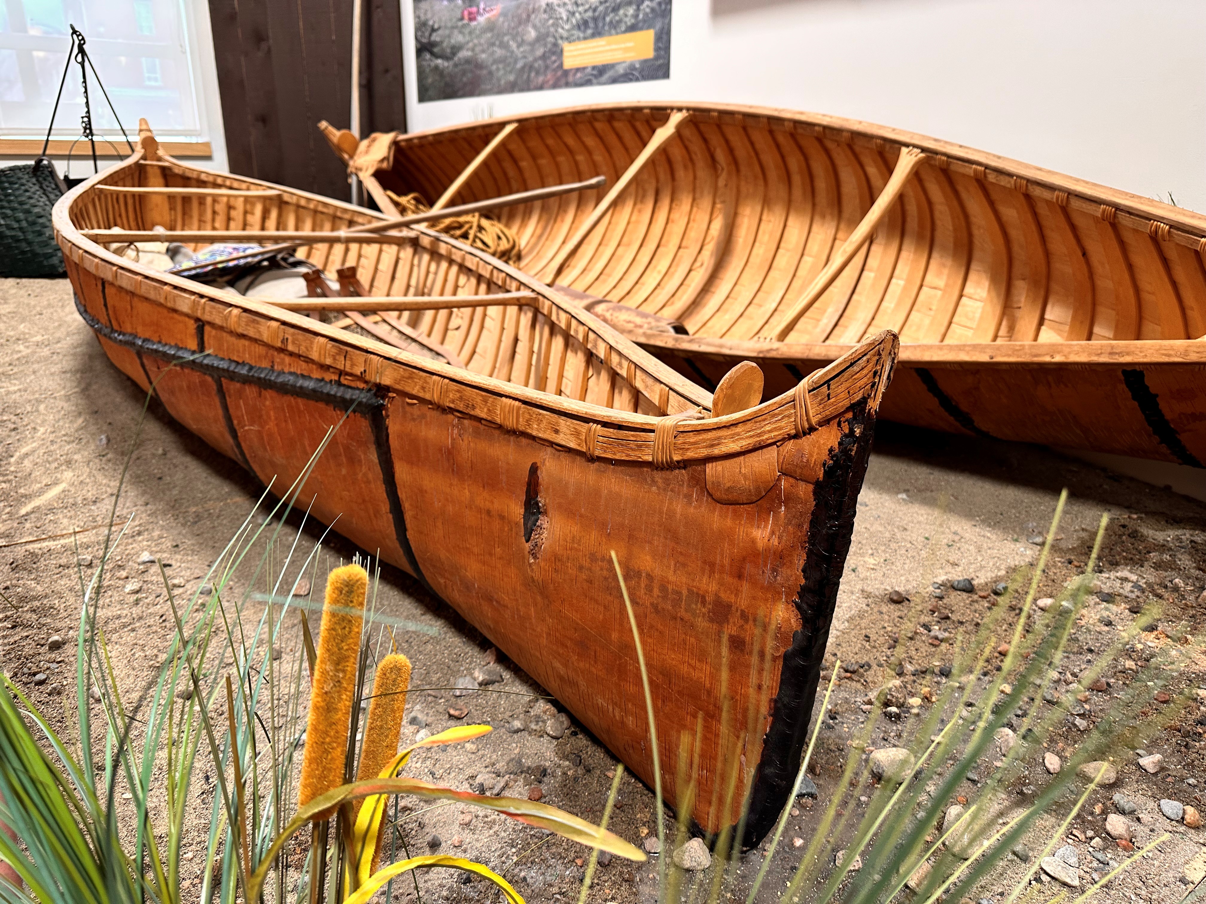 two birch bark canoes surrounded by artificial bullrushes in a display at the North Bay Museum.
