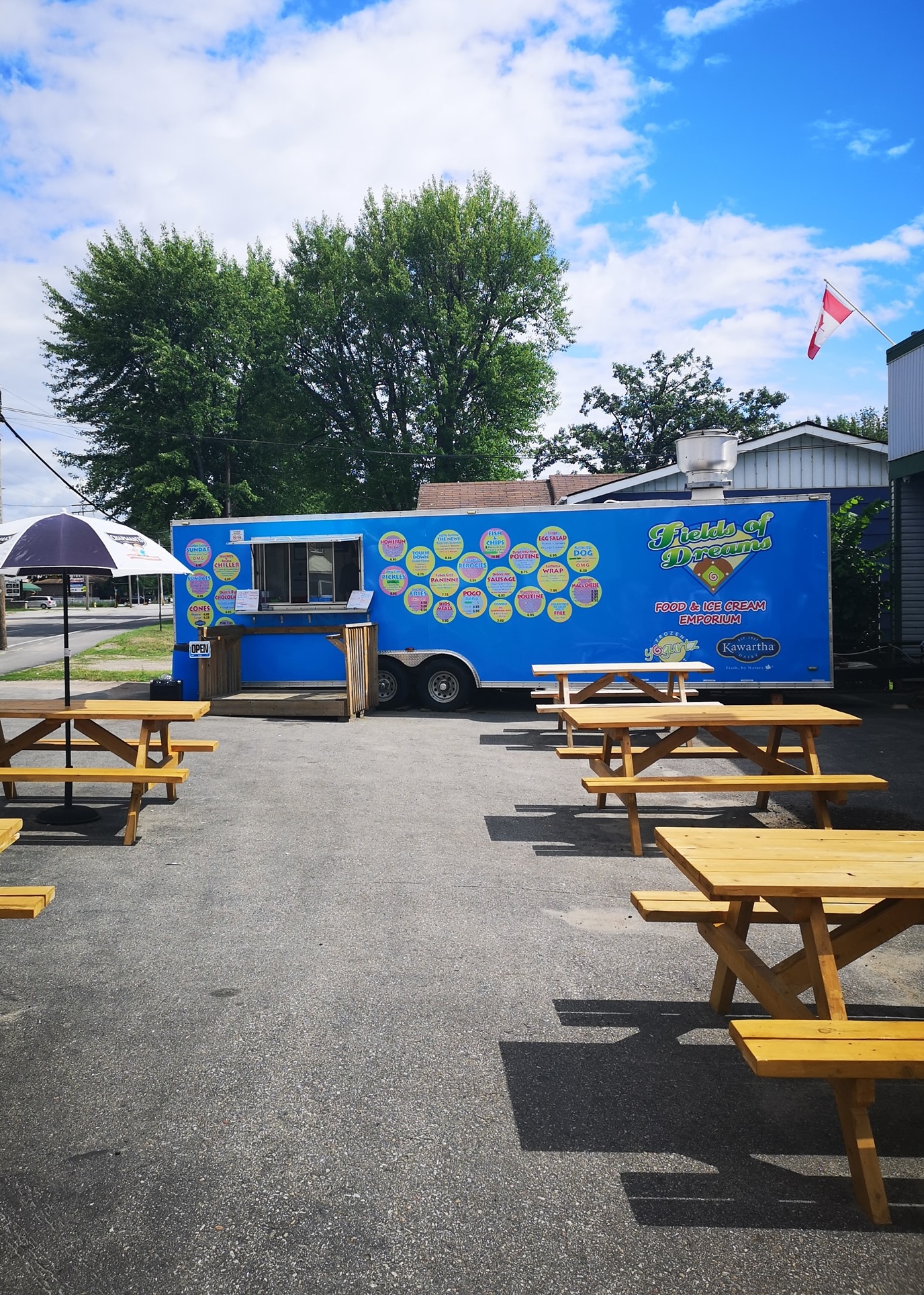 Field of Dreams Food Truck, North Bay; a blue food truck parked next to two rows of clean wooden picnic tables on a sunny day. A large green tree with a shape that resembles a heart is reaching up above the food truck.