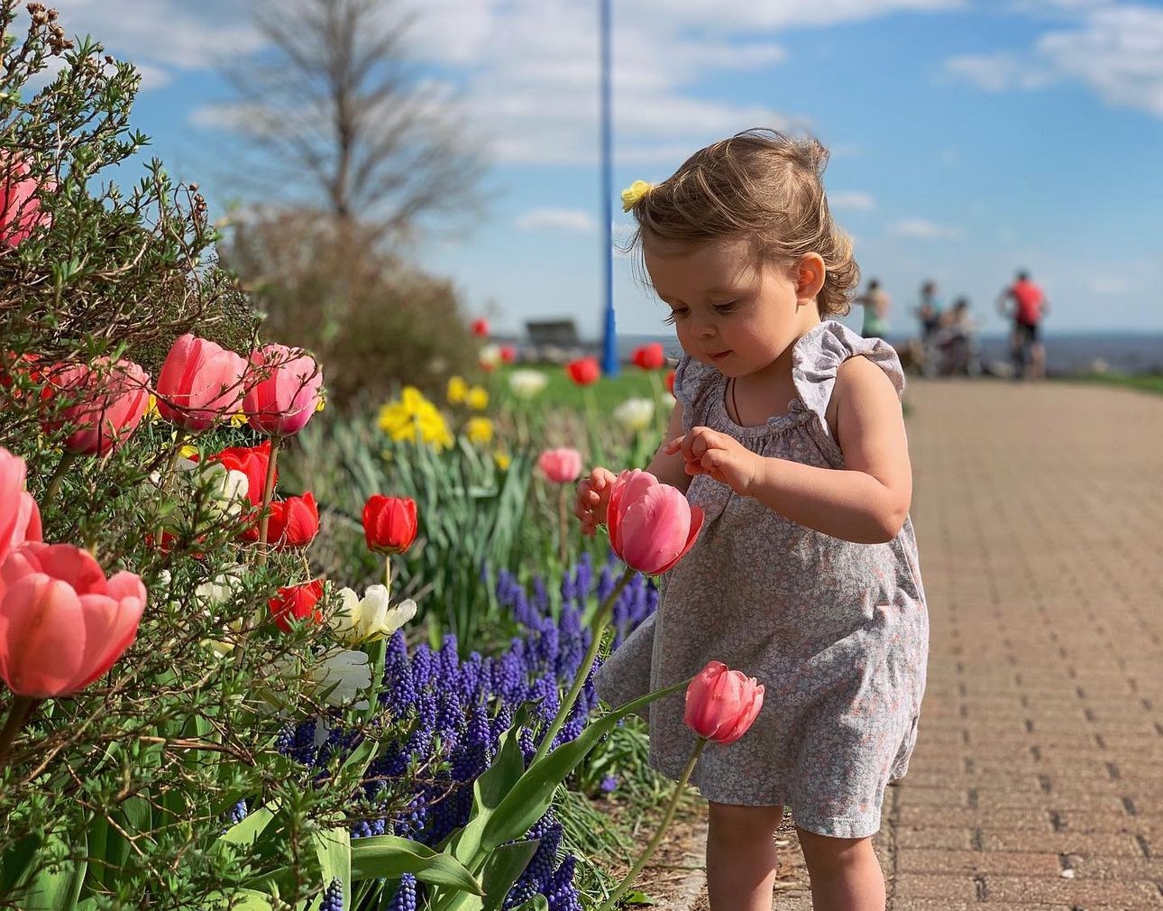 A young girl enjoying the North Bay waterfront heritage gardens