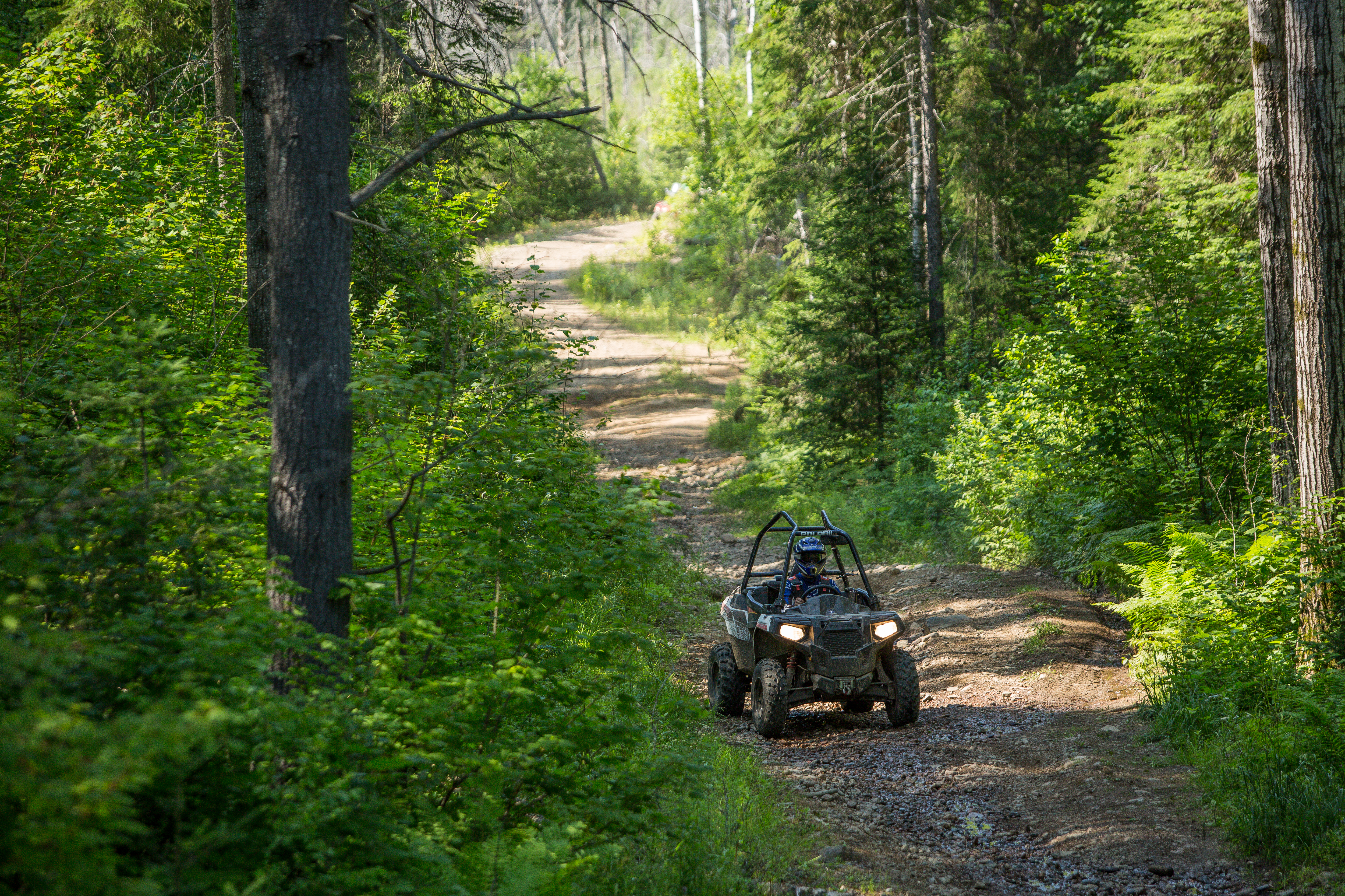 A long shot of a UTV driving down a dirt trail that winds through a lush green forest.