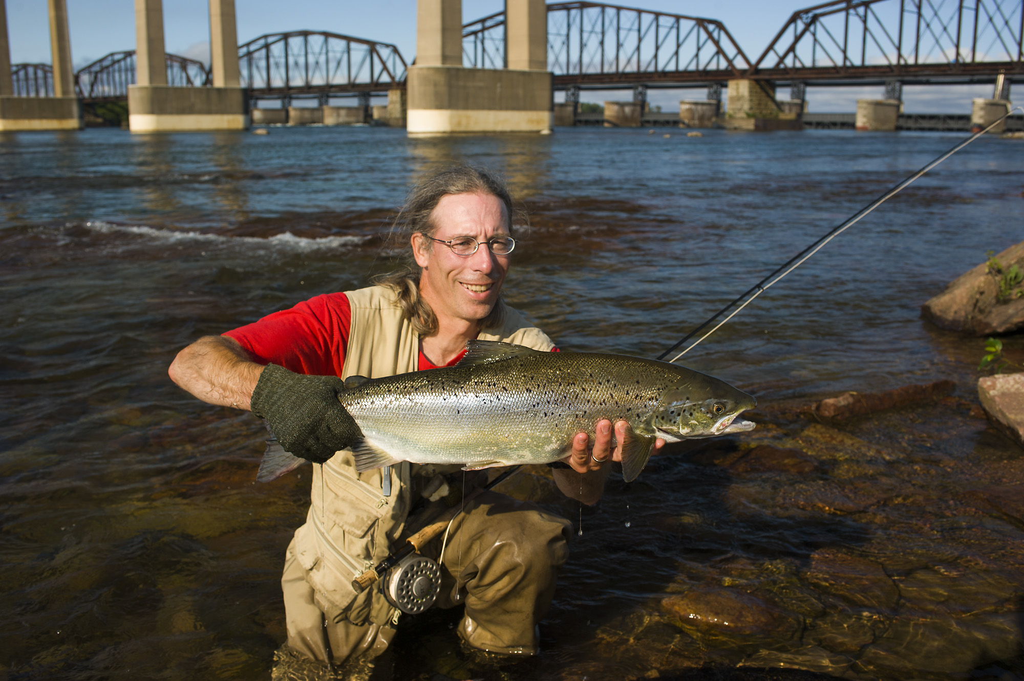 A smiling man holds up a large Atlantic salmon as he climbs out of the wide St. Mary's River with a fishing rod. Two bridges and clear blue sky are in the background. 