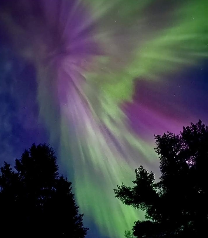 The Northern Lights over Ontario; swirls of vivid purple, pink and green in the night sky, framed by the black silhouettes of trees.