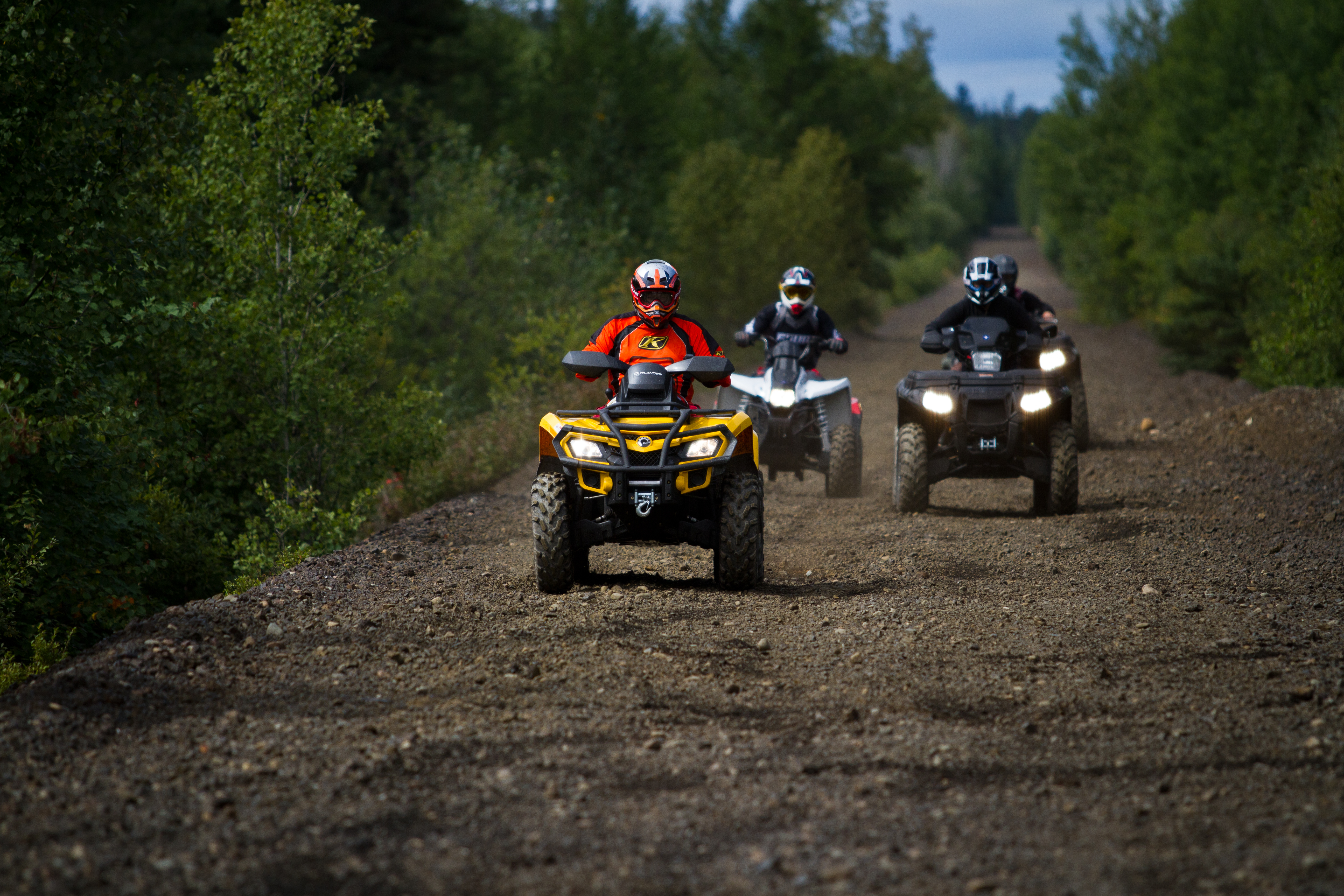 3 people on ATVs riding down a gravel road with thick green forest on either side.