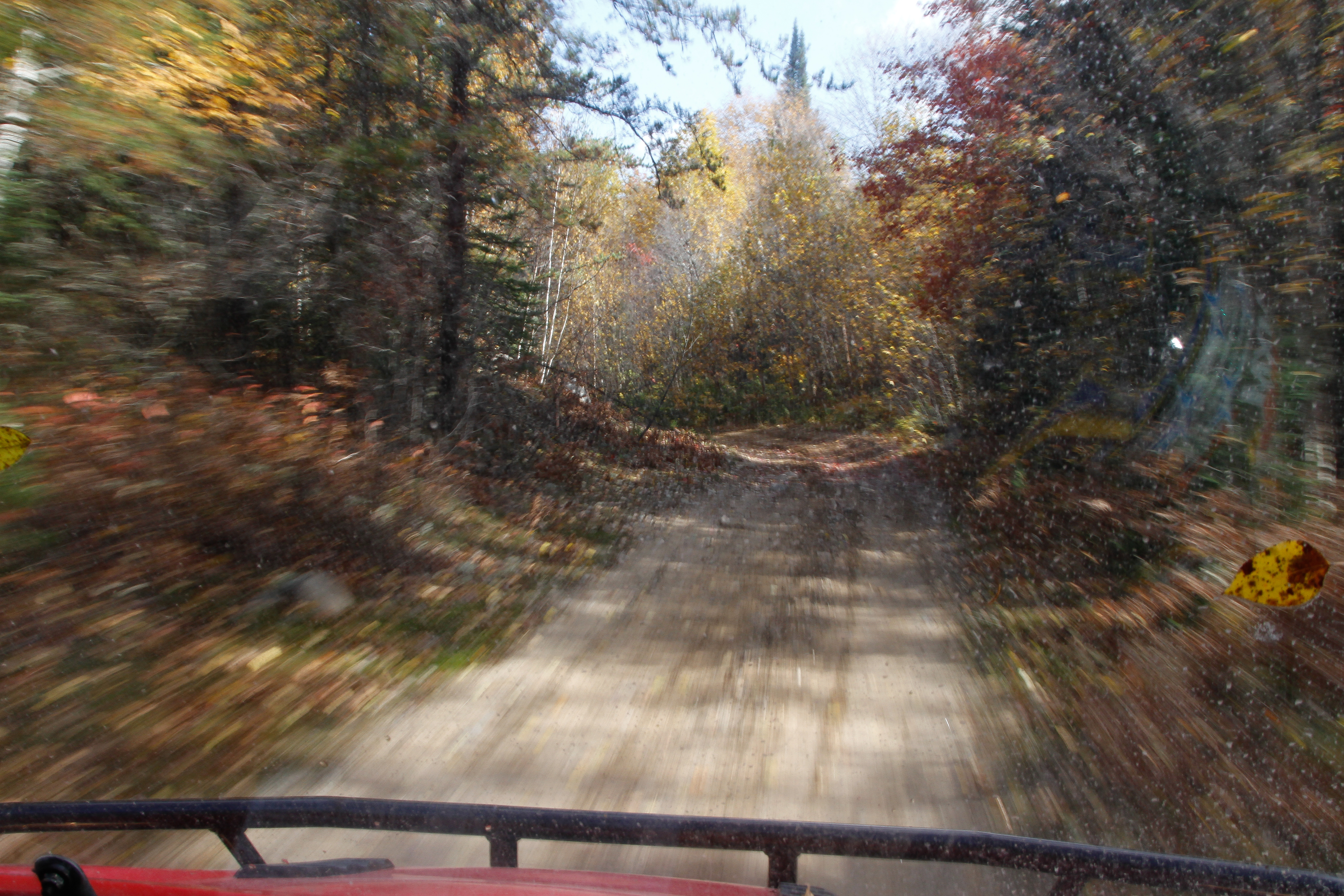a forest and dirt trail on a sunny late-summer day blurring by, photographed from the perspective of the driver of an ATV.