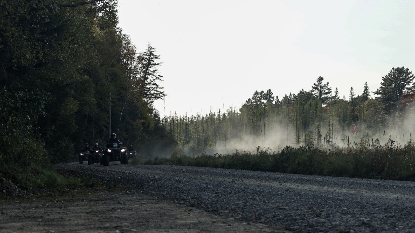 a line of riders on ATVs coming up a stretch of straight gravel road surrounded by thick, dark forest. They are raising a trail of dust that appears like mist behind them. 