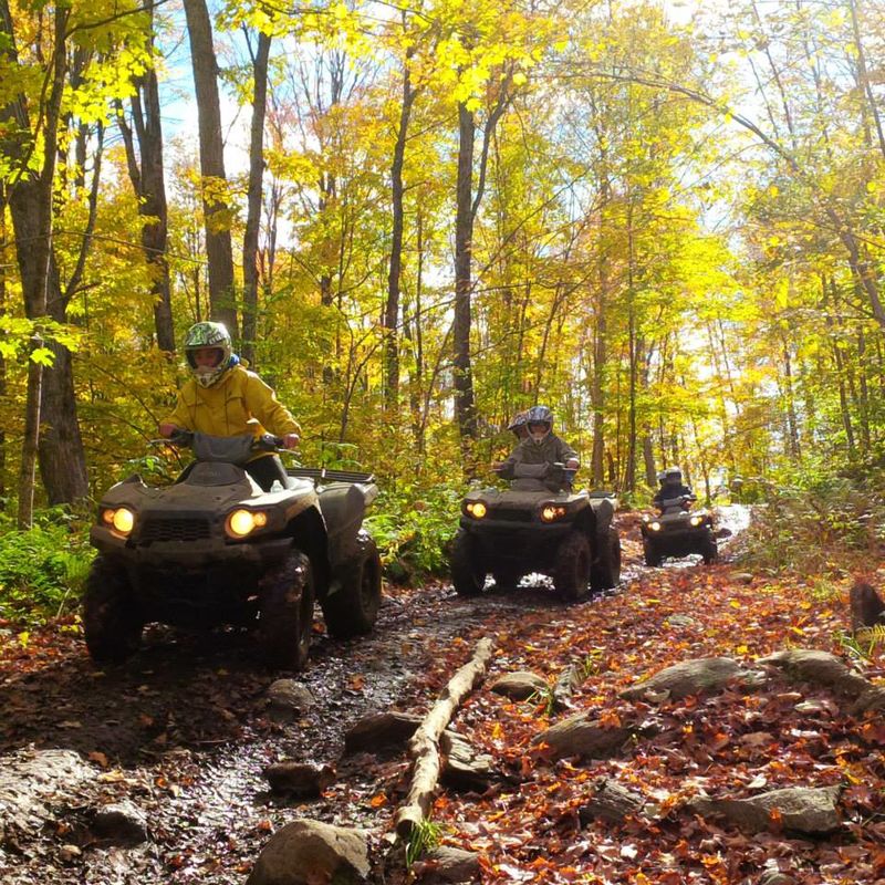3 riders on ATVs driving up a rocky, leaf-covered trail with a trickle of water running across it. The trees around them are covered in bright yellow-green leaves. 