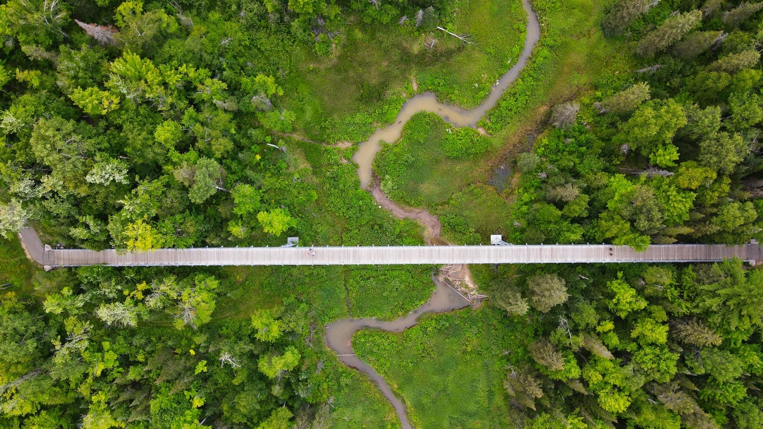 An aerial shot of a narrow boardwalk across a section of very green forest and a shallow gorge with a winding trail at the bottom.