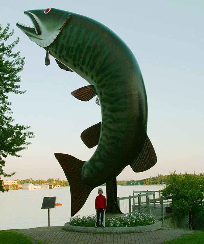 Husky the Muskie Kenora Ontario