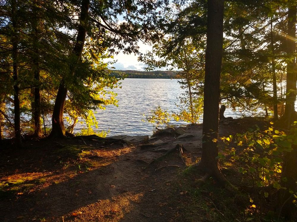 Restoule Provincial Park; a shady dirt trail through green forest that leads to a calm lake on a sunny late afternoon.