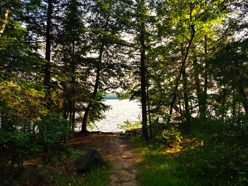 a narrow, packed earth hiking trail that leads through shady green forest to a bright lake in a clearing at Restoule Provincial Park.