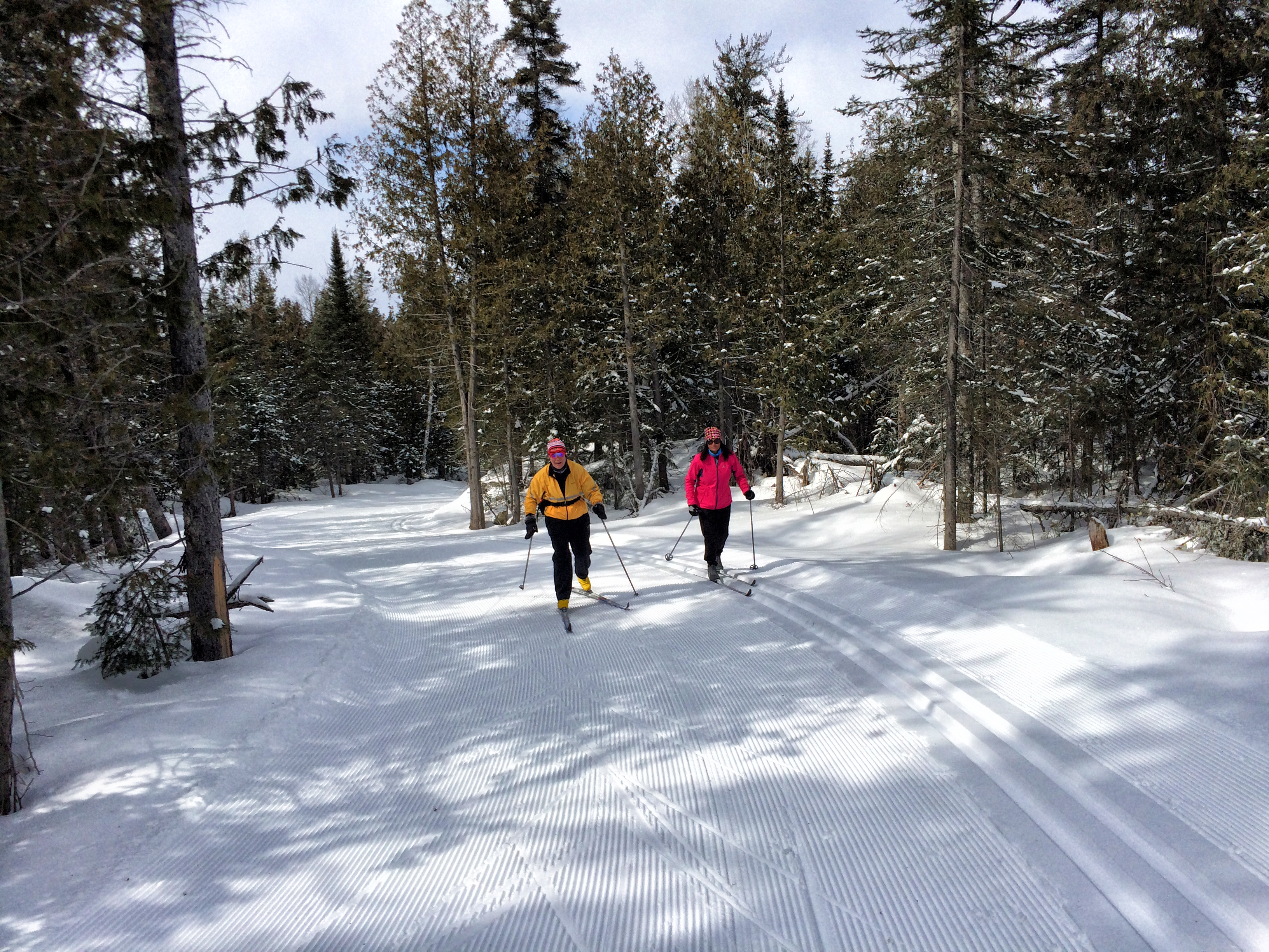 2 skiiers, one dressed in a red coat and one in a yellow coat are skiing down the GoldCorp trail at the Porcupine Ski Runners