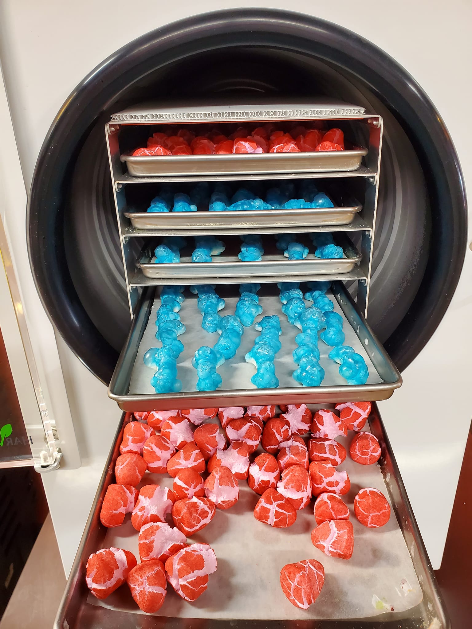 Freeze dried candy on a tray.