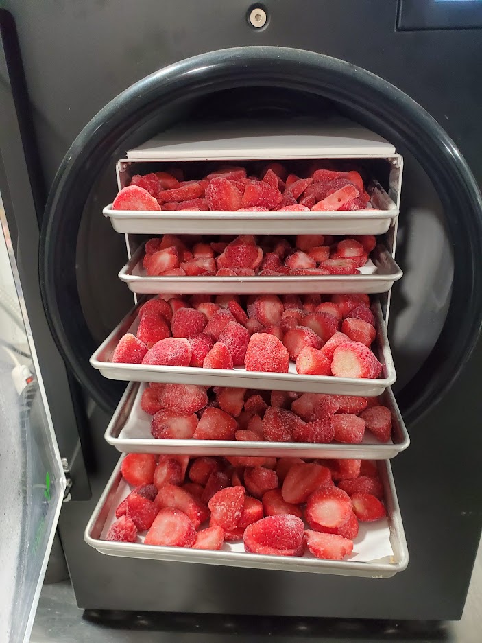 Freeze dried strawberries on a tray.