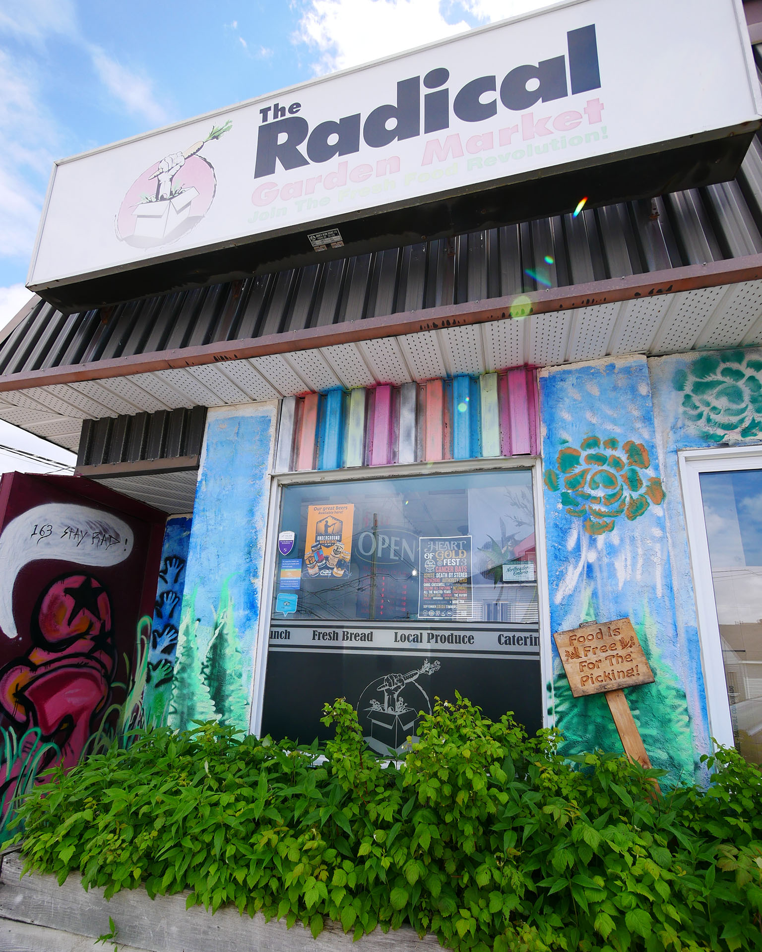 The exterior of Radical Gardens; a white shop front with colourful plant murals on the walls and green plants growing out front, with a sign overhead that reads "The Radical Garden Market".