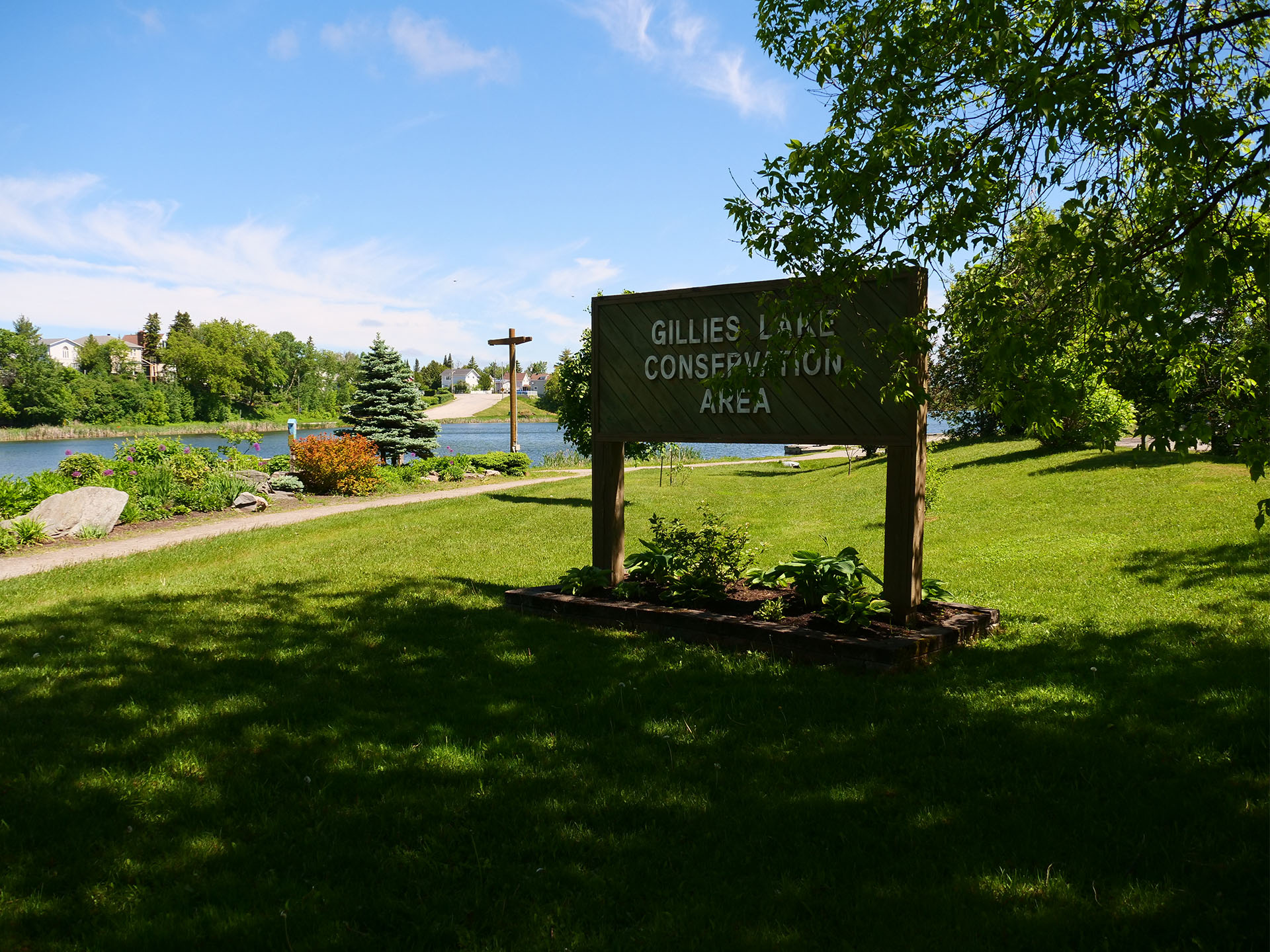 a green space with tall shade trees next to a lake and a walking trail in a sunny day. A large wooden sign says "Gillies Lake Conservation Area".