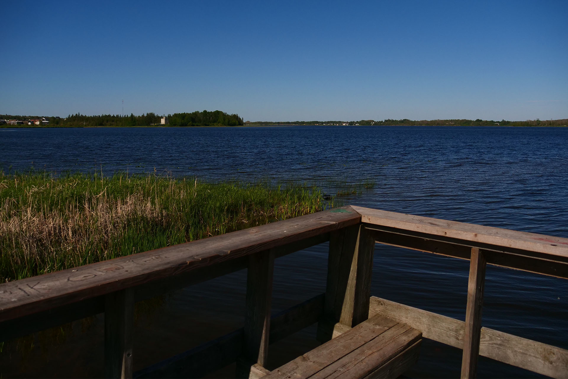 a wooden platform along the trail at White Waterfront Conservation Area, looking out onto a large blue lake edged by greenery under a blue cloudless sky.