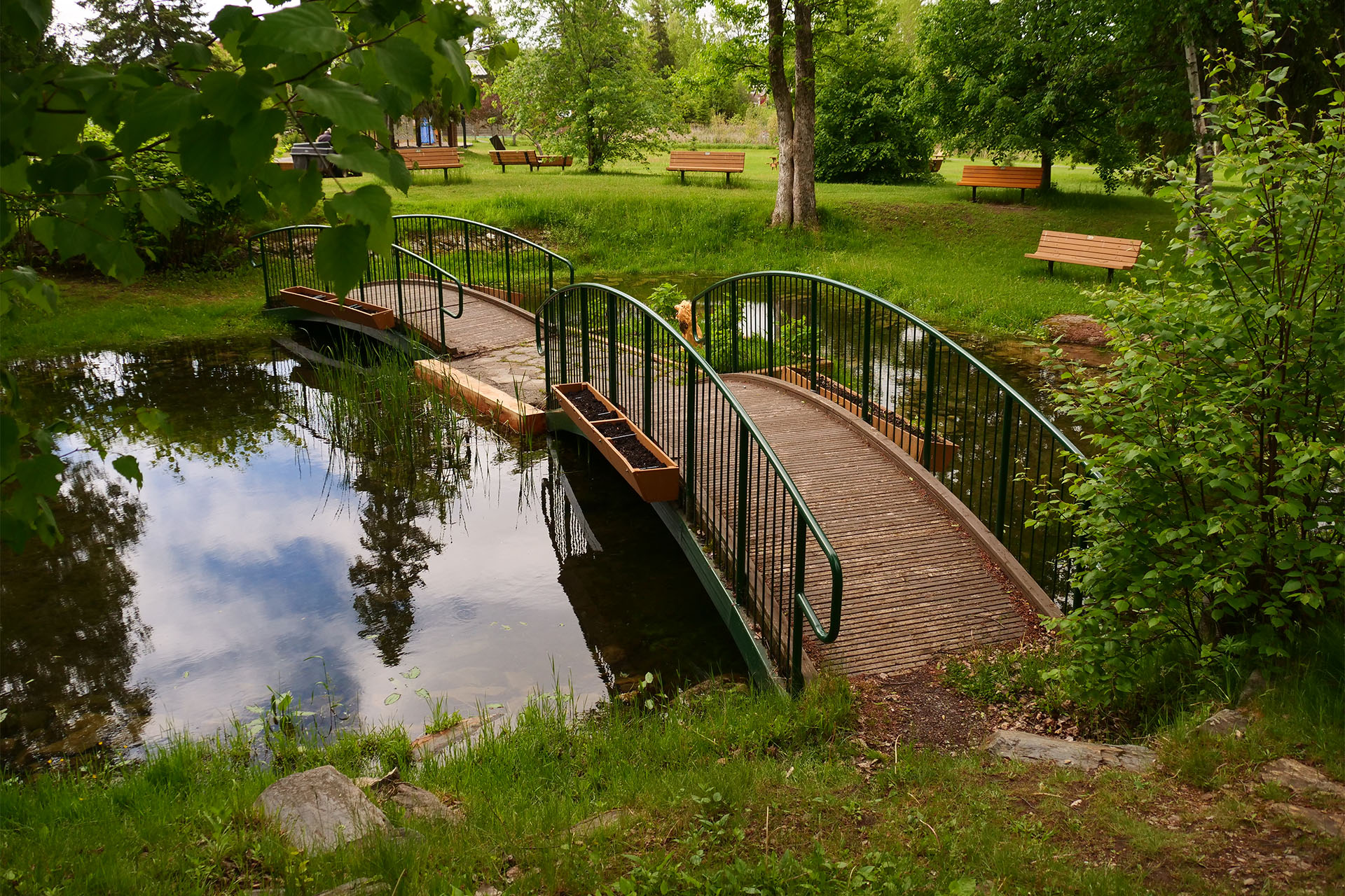 Lions Park, Timmins; two wooden footbridges arcing over a glassy pond in the middle of a very lush green grassy and treed park. Several wooden benches are stationed along in a line that runs under the trees into the distance.