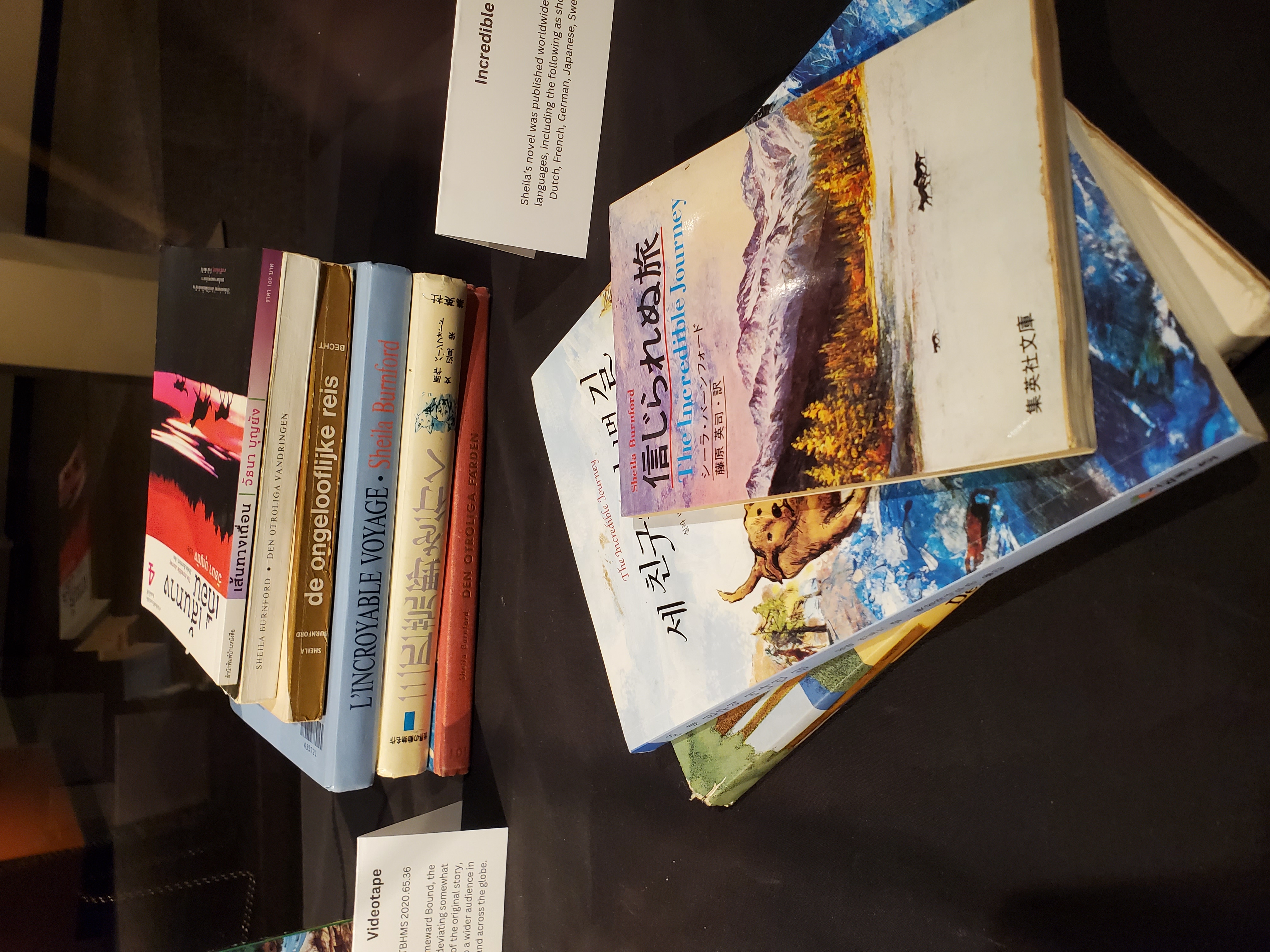 A selection of paperback books on a wooden table. 