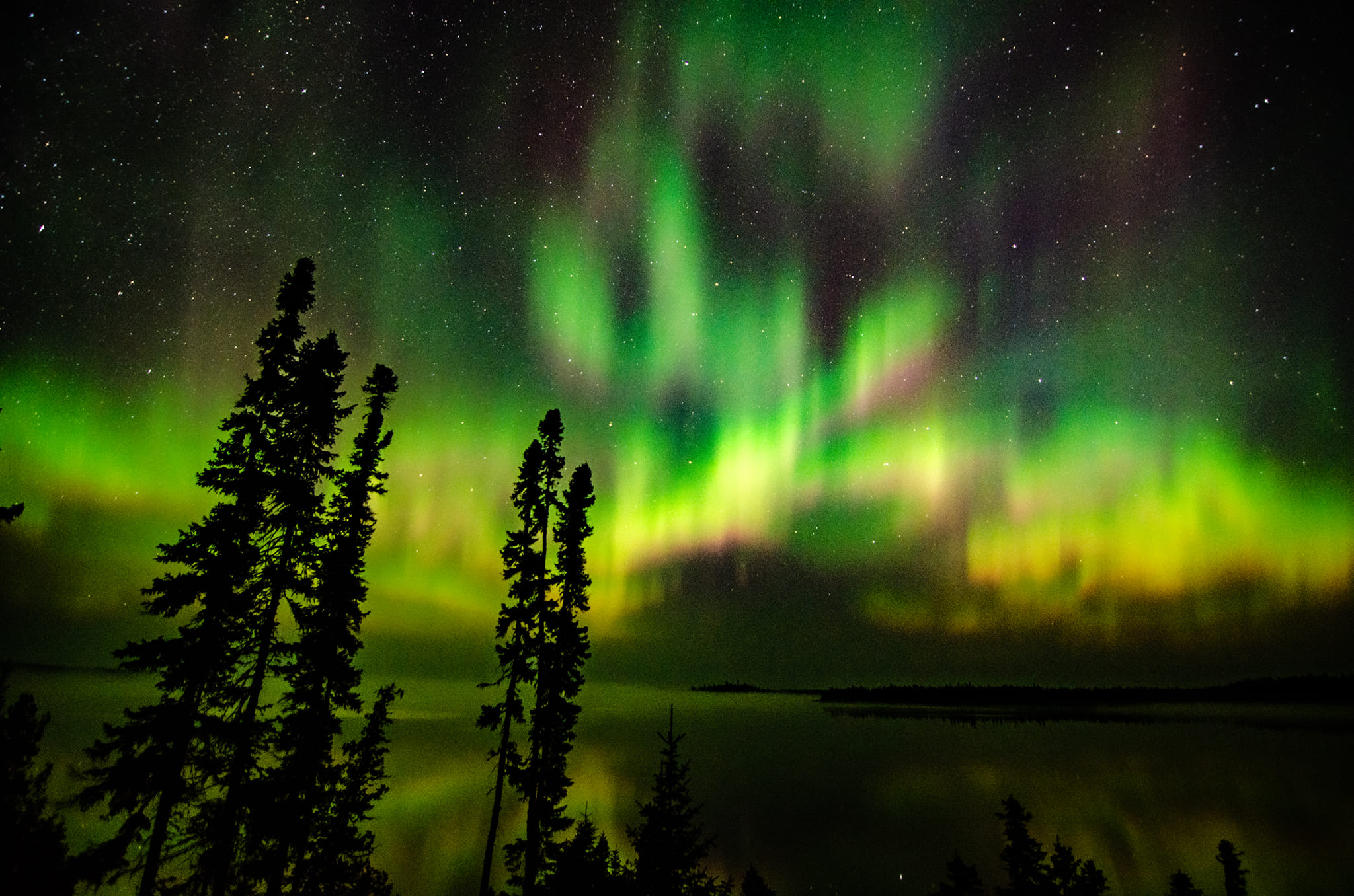 Northern Lights at Brace Lake Outfitters