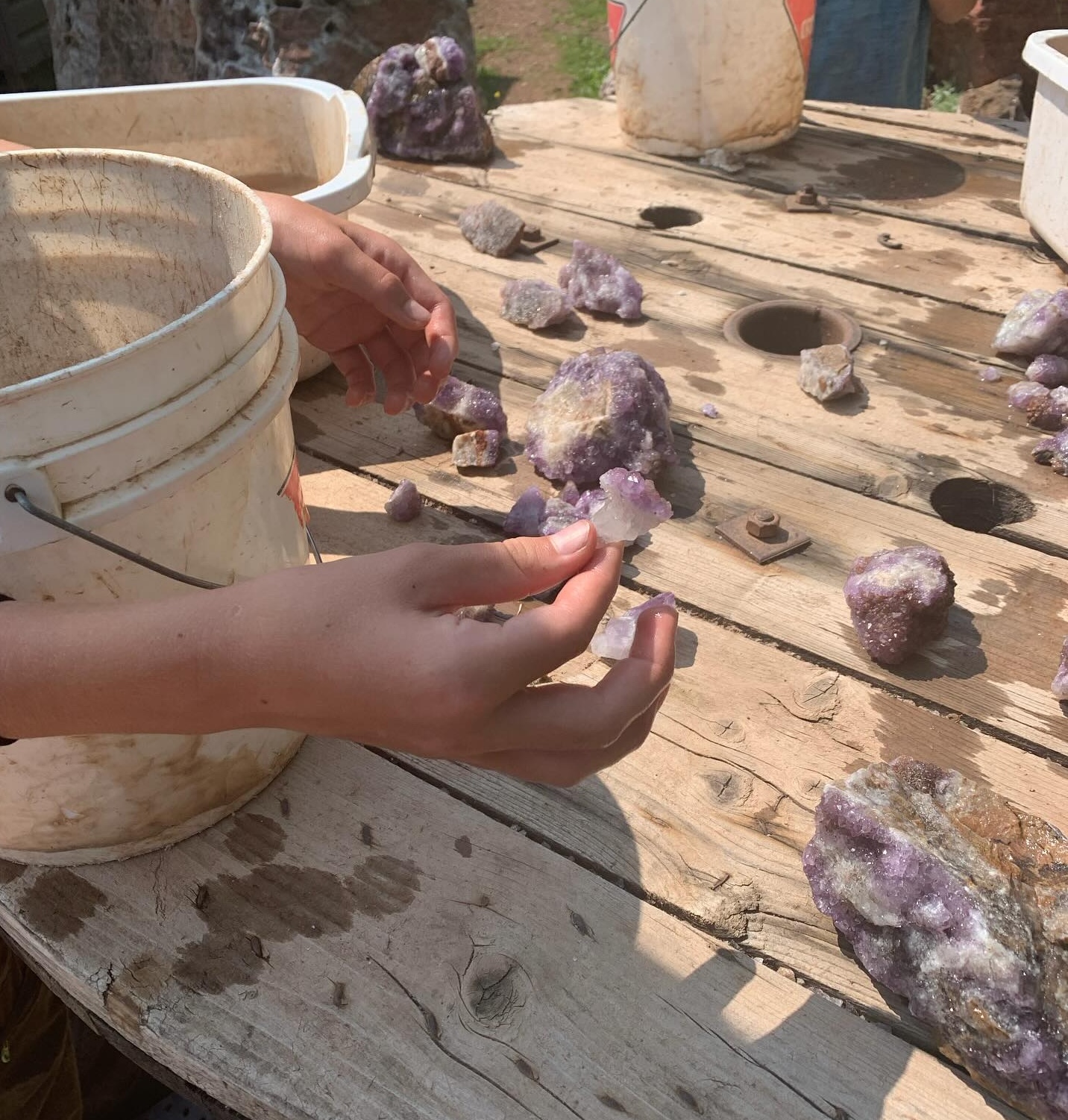 A child's hands holding up an amethyst chunk over a wooden table covered in buckets and amethyst rocks. 