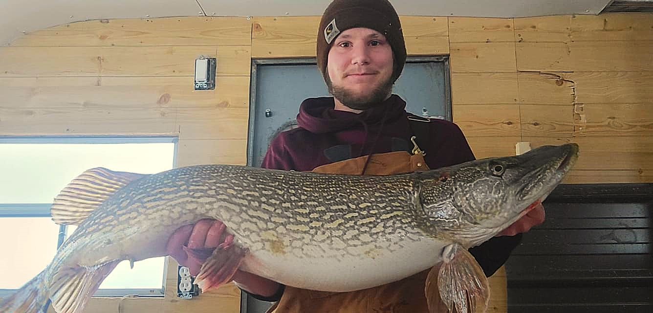 Giant northern pike caught ice fishing