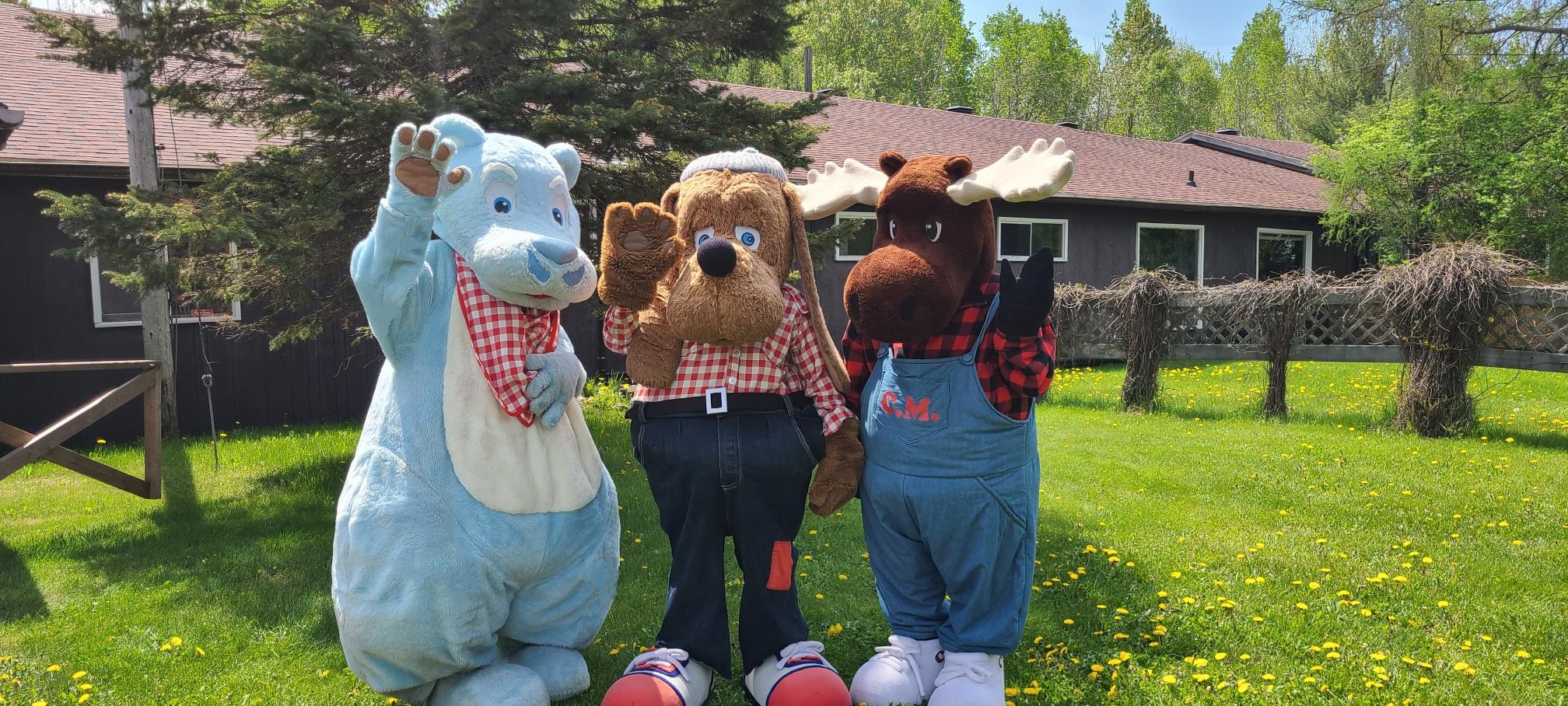 3 mascots for the French River Trading Post, standing on the green lawn on a sunny summer day.The mascots are a blue bear, a floppy-eared dog wearing a checkered shirt and pants, and a moose in blue overalls. All are waving at the camera.