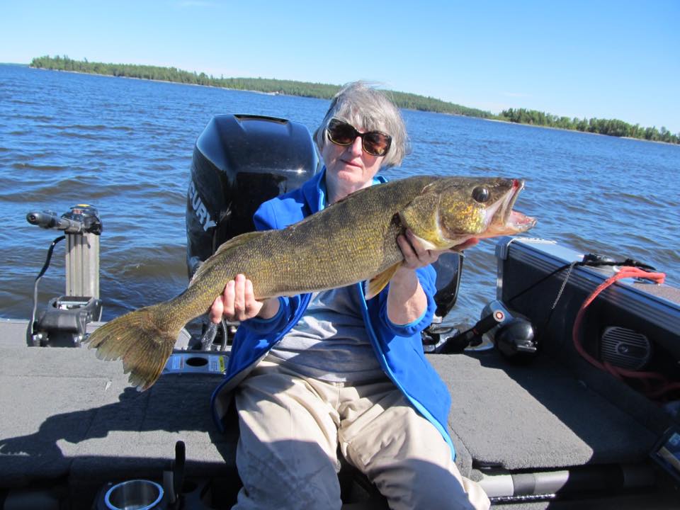 Walleye fishing at Grassy Narrows Lodge