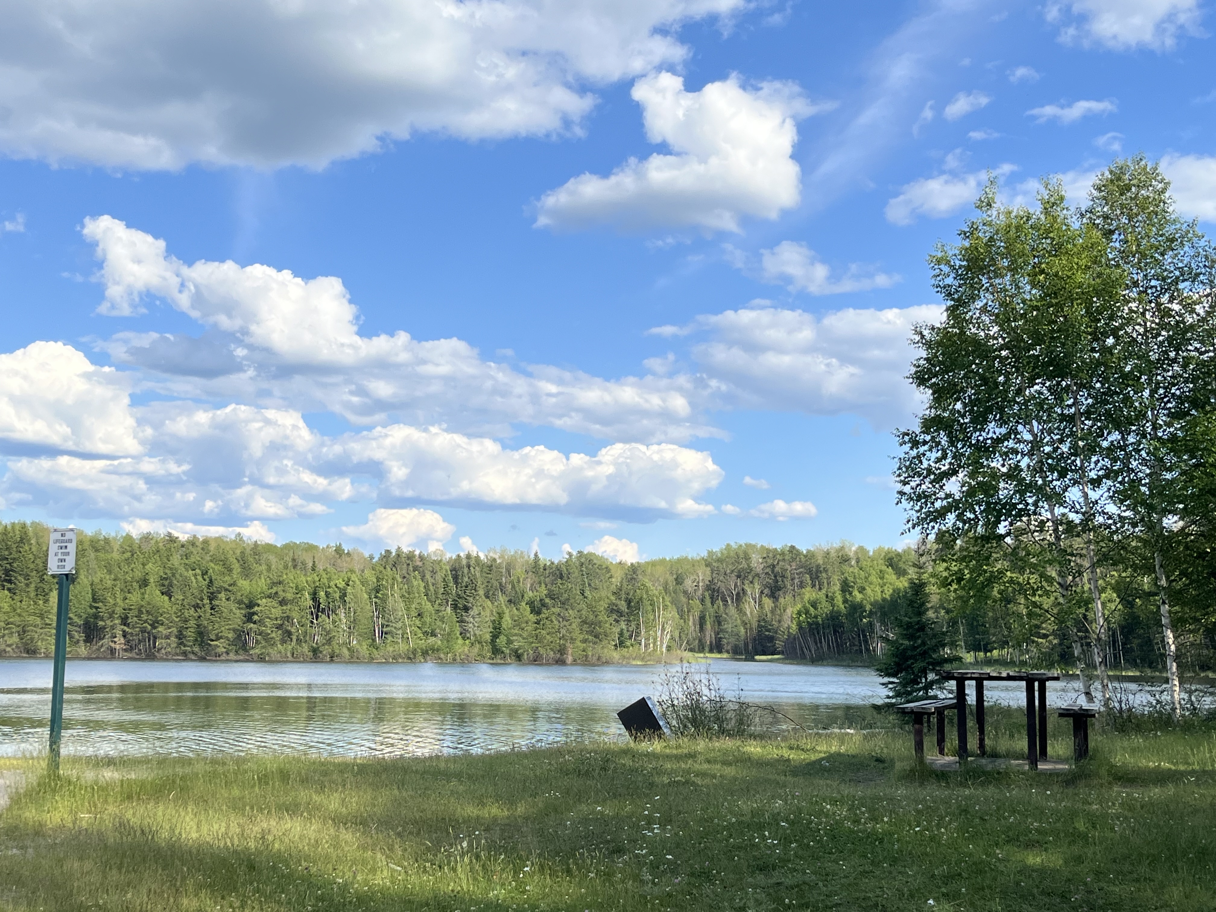 a landscape of Hersey lake which includes a picnic table on the right hand side, the lake and tree in the distance. There is also a sign on the right-hand side of the image and a tree behind the picnic table