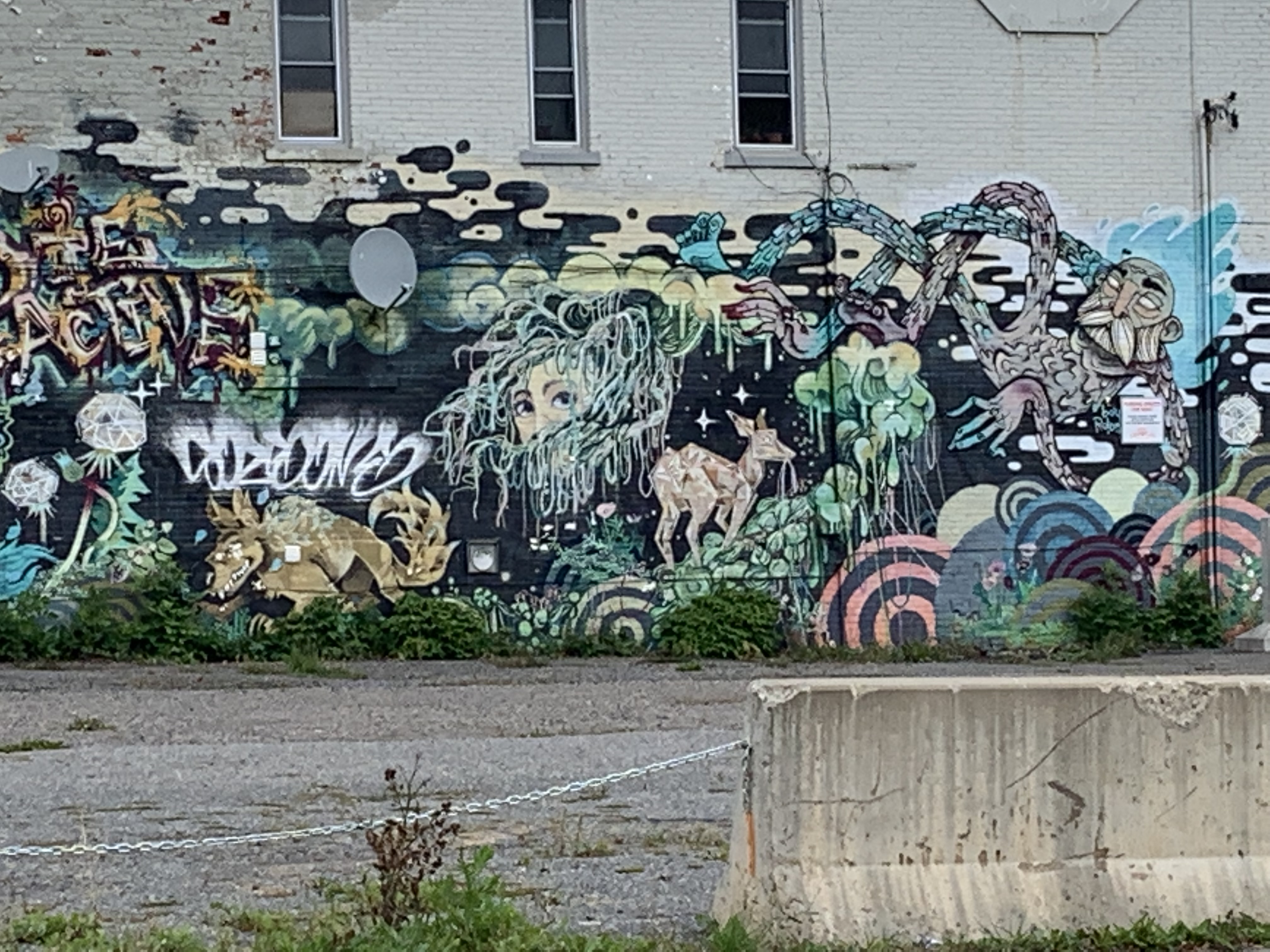 An outdoor mural featuring a dreamlike conglomeration of faces, woodland animals, graffiti tagging, and mythical plants.