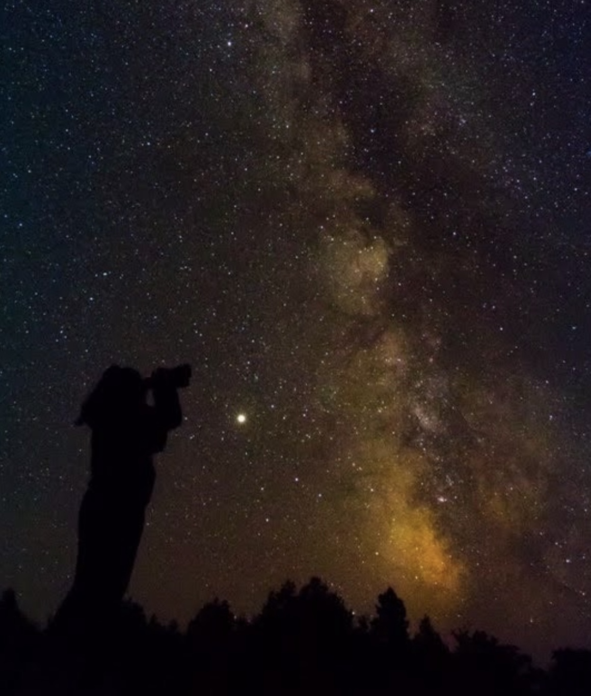 a person silhouetted aganst a night sky full of stars at the Manitoulin Eco Park