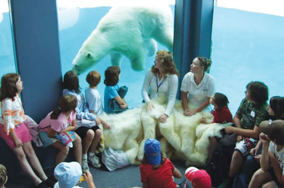 a group of kids and adults sitting in a circle watching a polar bear swim under water through glass at the Cochrane Polar Bear Habitat.