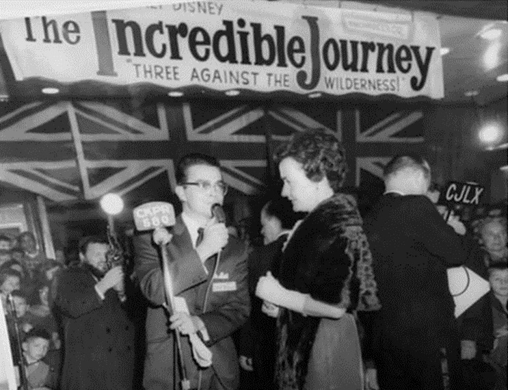 Port Arthur Local Lakehead radio newsman Ron Knight, holding a microphone, interviewing Port Arthur’s famed children's author Sheila Burnford at the November 1963 premiere of the Disney film The Incredible Journey