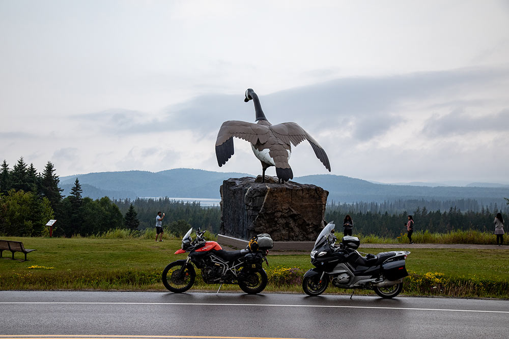 Wawa Goose Monument