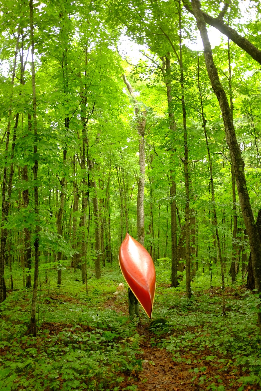 canoe portage through the forest