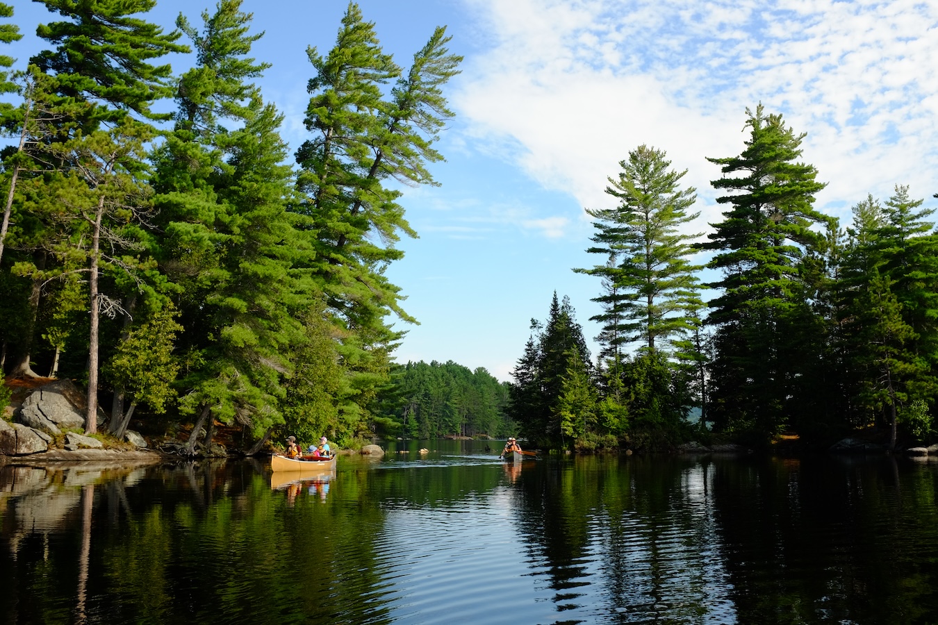 two canoes on a lake with trees