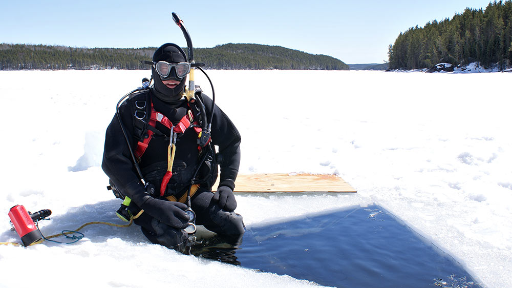 snorkeling winter