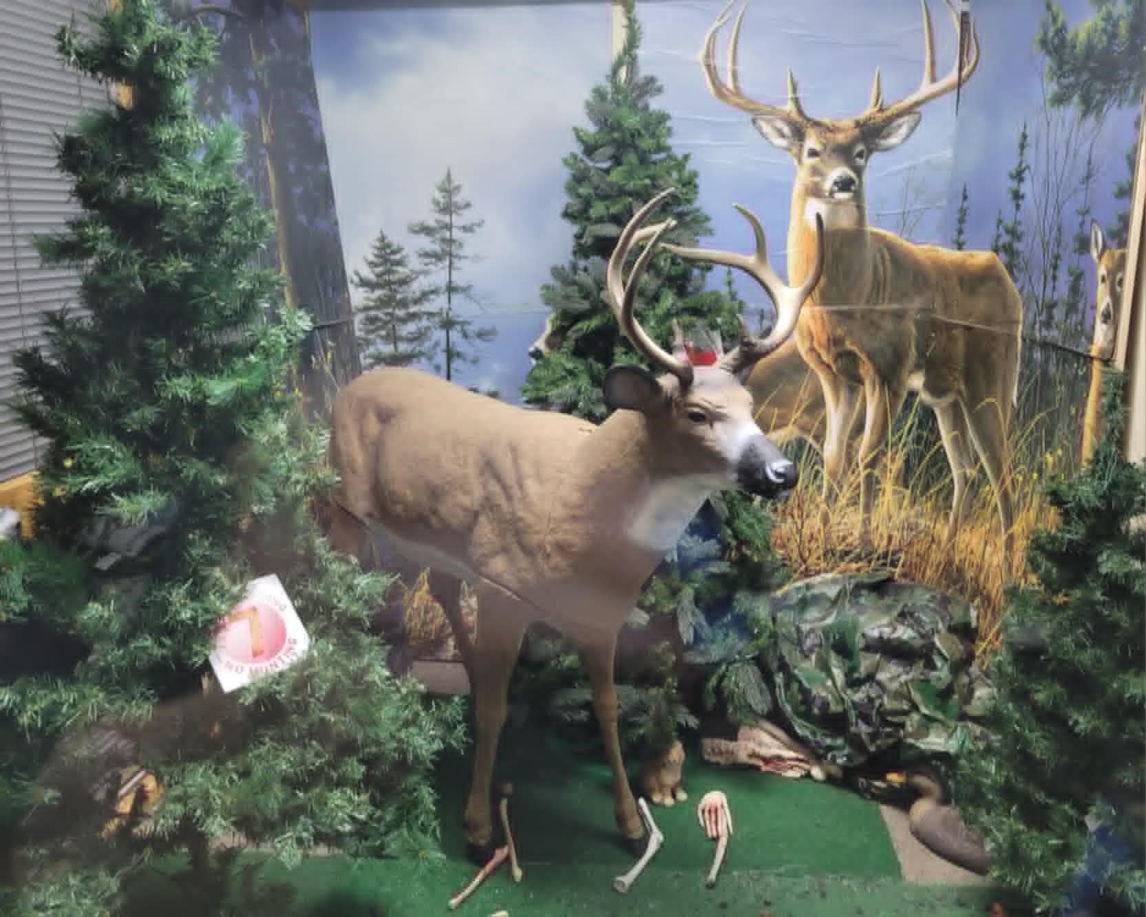 A landscape featuring two deer standing among some pine trees