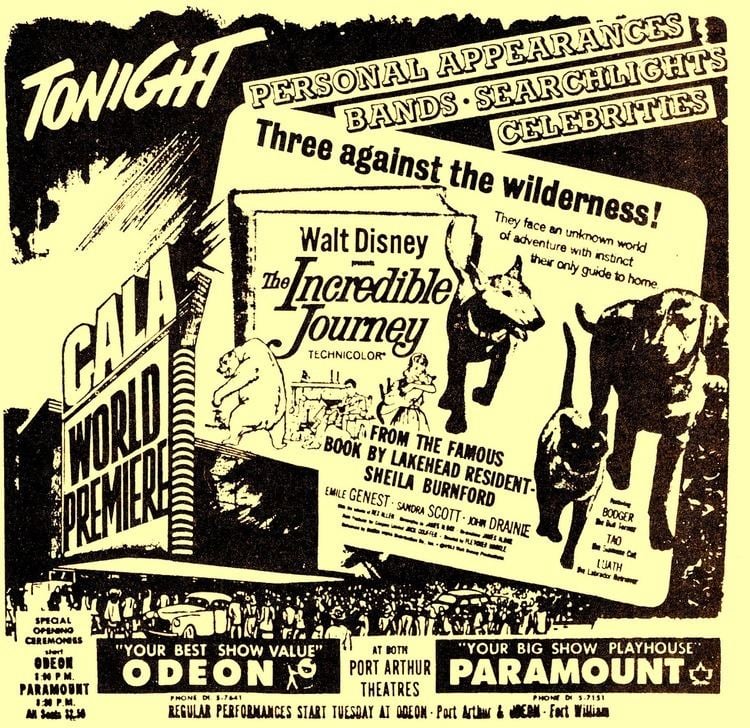 A printed flyer advertising the 1963 premiere of Walt Disney's The Incredible Journey, written by Sheila Burnford. The flyer reads "3 against the wilderness!" and features a picture of 2 dogs and a cat walking together, with a small side picture of an angry bear they encounter. It advertises "personal appearances, bands, searchlights, celebrities".