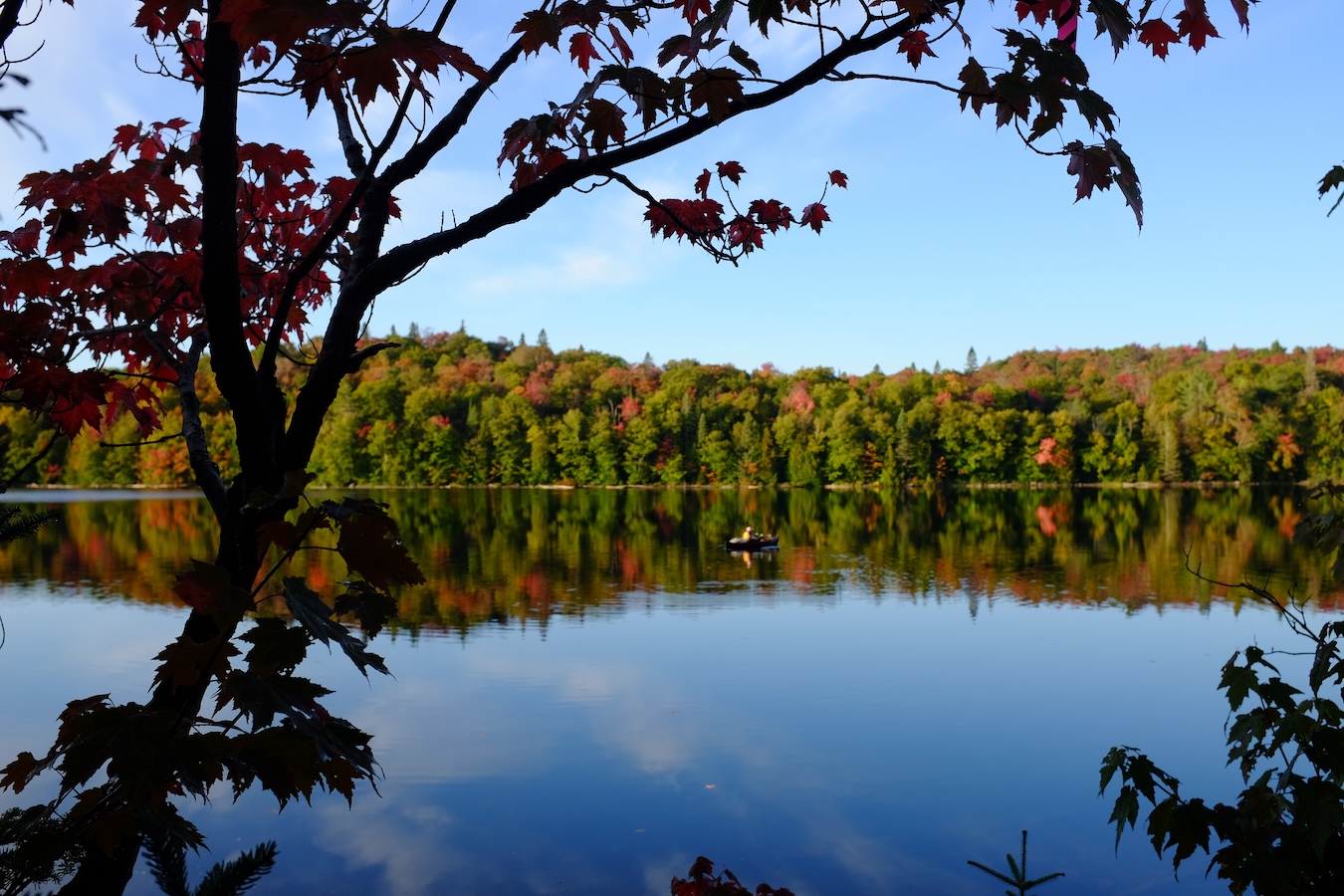 falls colours on a lake sault ste. marie